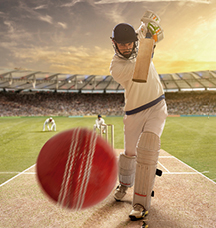 Cricket